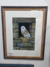 Load image into Gallery viewer, Barn owl and Mouse signed framed print