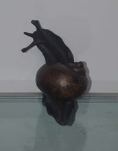 Load image into Gallery viewer, Sidney Snail