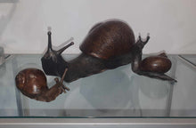 Load image into Gallery viewer, Big Charlie Snail