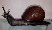 Load image into Gallery viewer, Brian Snail