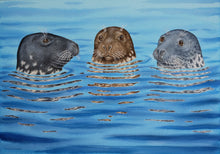 Load image into Gallery viewer, Watching you Watching us! framed print