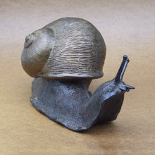 Load image into Gallery viewer, Big Charlie Snail