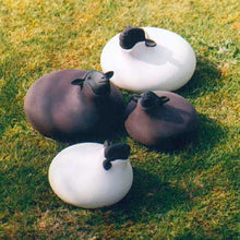 Load image into Gallery viewer, Brown Sheep