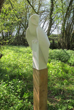 Load image into Gallery viewer, Barn Owl Landed by Paul Harvey