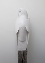 Load image into Gallery viewer, Barn Owl Landed by Paul Harvey