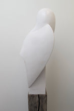 Load image into Gallery viewer, Barn Owl Landed by Paul Harvey