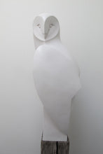Load image into Gallery viewer, Barn Owl Landed by Paul Harvey