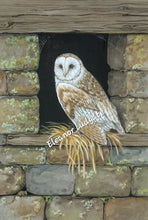 Load image into Gallery viewer, Barn owl and Mouse signed framed print