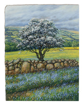 Load image into Gallery viewer, Beautiful Dartmoor Limited Framed Print