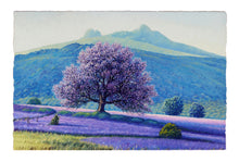 Load image into Gallery viewer, Bluebells and blossom Limited framed print