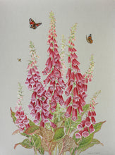 Load image into Gallery viewer, Foxgloves and Butterflies limited framed print