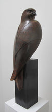 Load image into Gallery viewer, Kestrel in cold cast bronze by Paul Harvey