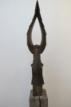 Load image into Gallery viewer, Kestrel Landing by Paul Harvey