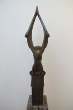 Load image into Gallery viewer, Kestrel Landing by Paul Harvey