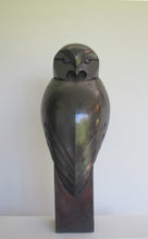 Load image into Gallery viewer, Tawny owl back by Paul Harvey