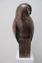 Load image into Gallery viewer, Tawny Owl by Paul Harvey