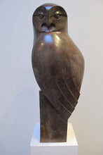 Load image into Gallery viewer, Tawny Owl by Paul Harvey