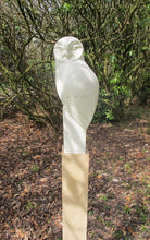 Load image into Gallery viewer, Tawny Owl by Paul Harvey