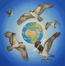 Load image into Gallery viewer, The Flight Of The Osprey Original Oil Painting