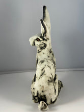 Load image into Gallery viewer, Richard the Hare by Sally Gardiner