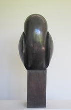 Load image into Gallery viewer, Tawny owl back by Paul Harvey