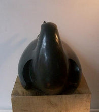 Load image into Gallery viewer, Sleeping Tern by Paul Harvey