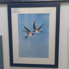 Load image into Gallery viewer, A pair of swallows framed print