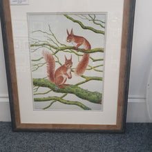 Load image into Gallery viewer, Red Squirrels signed limited framed print