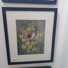 Load image into Gallery viewer, Wren on winter Jasmine framed print
