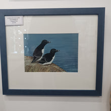 Load image into Gallery viewer, Razorbills Framed Print