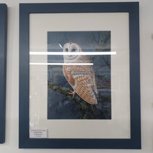 Load image into Gallery viewer, Barn Owl framed print