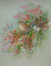 Load image into Gallery viewer, Wren on Honey Suckle Framed print
