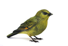 Load image into Gallery viewer, Greenfinch