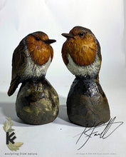 Load image into Gallery viewer, Robin on a Rock