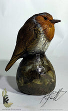 Load image into Gallery viewer, Robin on a Rock