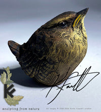 Load image into Gallery viewer, Baby Wren