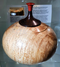 Load image into Gallery viewer, Spalted Beech wedge & pink Fur lid top. One of it's kind.