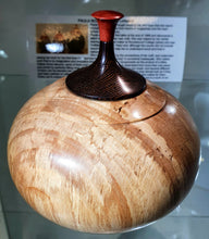 Load image into Gallery viewer, Spalted Beech wedge & pink Fur lid top. One of it's kind.