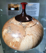 Load image into Gallery viewer, Spalted Beech wedge & pink Fur lid top. One of it's kind.