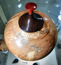 Load image into Gallery viewer, Spalted Beech wedge & pink Fur lid top. One of it's kind.