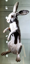 Load image into Gallery viewer, White Hare Listening