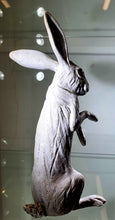 Load image into Gallery viewer, White Hare Listening