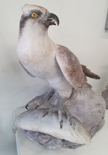 Load image into Gallery viewer, Osprey By Mari-Anne Hall