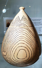 Load image into Gallery viewer, Sycamore pot lined