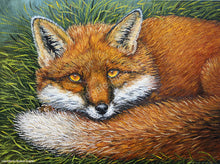 Load image into Gallery viewer, Patient Fox Original Painting