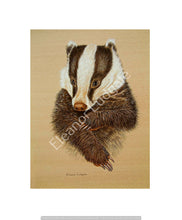 Load image into Gallery viewer, Mr Brock signed framed print