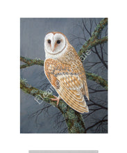 Load image into Gallery viewer, Barn Owl framed print