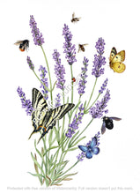 Load image into Gallery viewer, Butterflies and lavender framed limited print