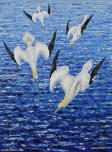 Load image into Gallery viewer, Diving Gannets Original painting (collection only)