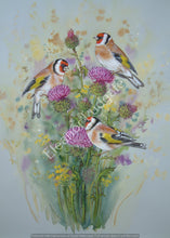 Load image into Gallery viewer, Goldfinches on thistles signed Framed print